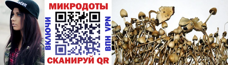 Псилоцибиновые грибы прущие грибы  Купить закладки  Зима 